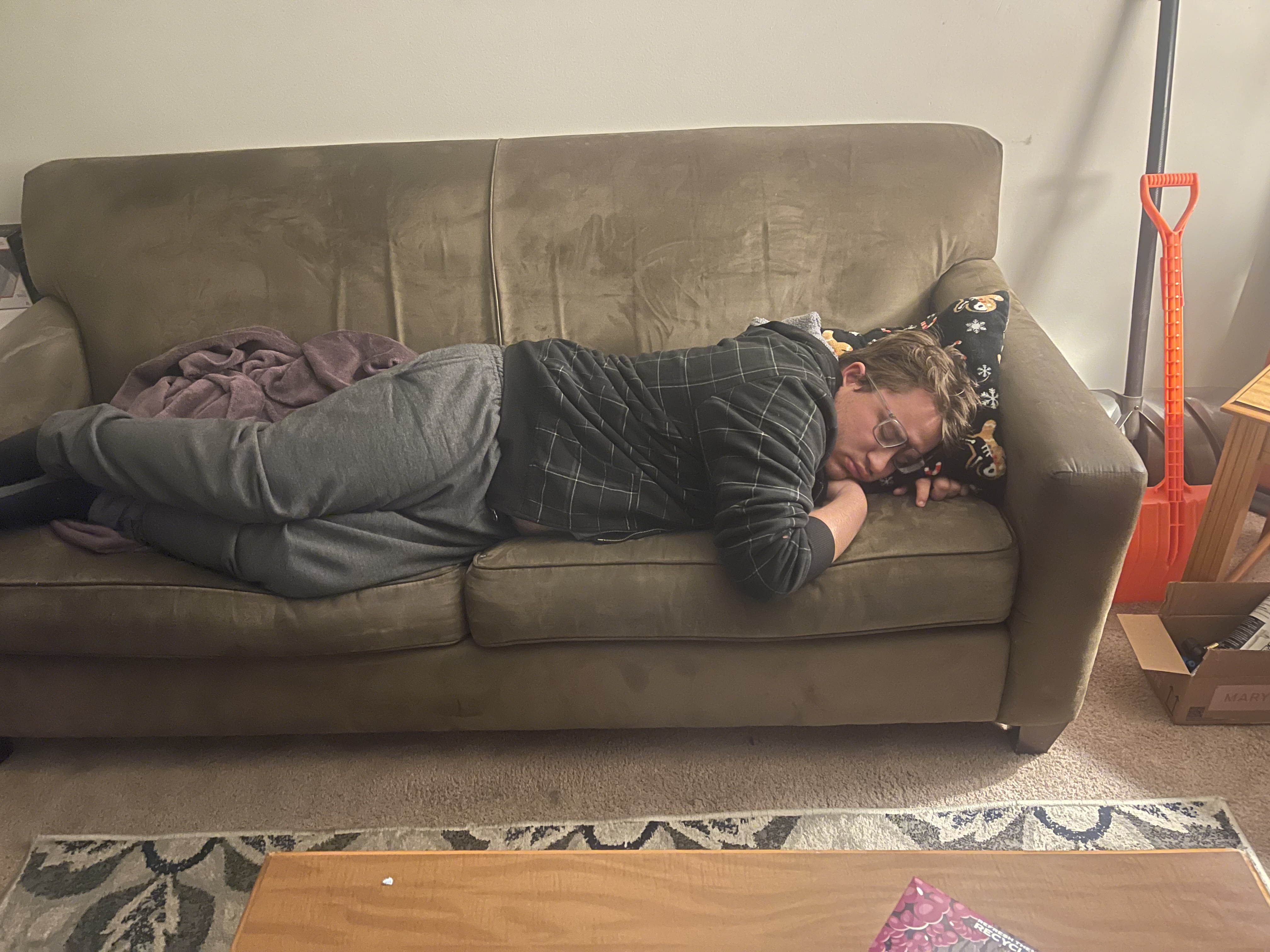 Nono peacefully sleeping